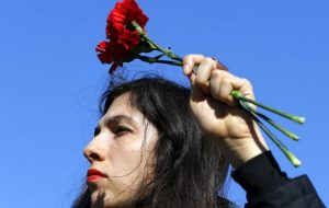 Karanfil-Dan-Zena