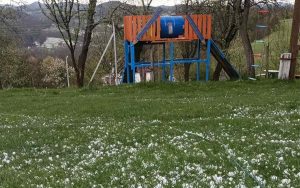 20230414144727_767704