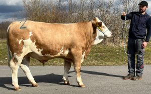 336548137_5921942077913055_34394725433162512_n