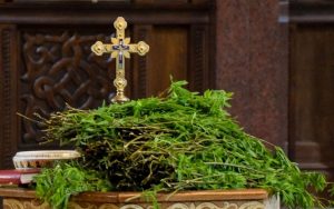 vrbica-lazareva-subota