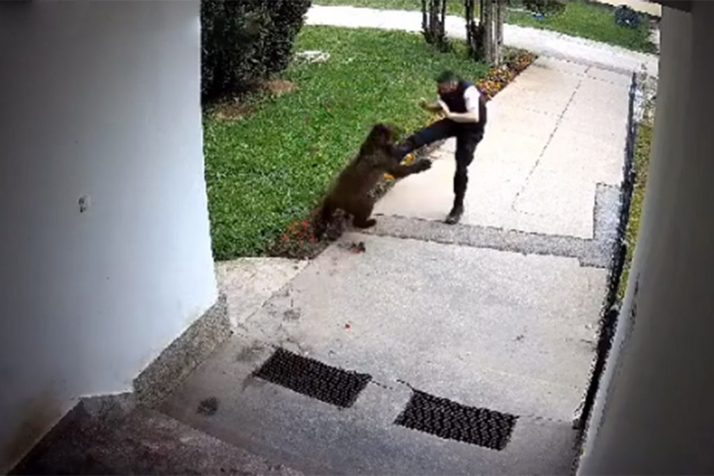 20230523095940_773079