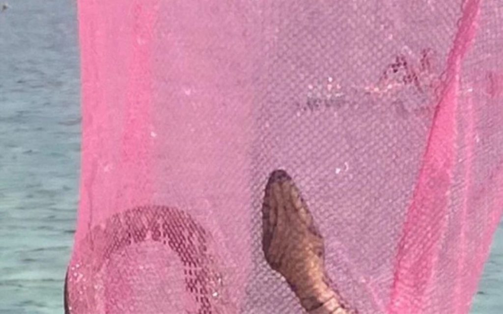 20230626203135_777898