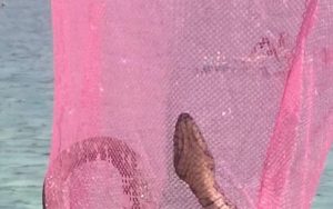 20230626203135_777898