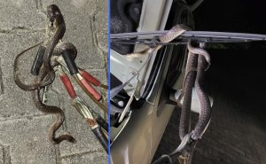 355516823_1624911908003592_8494884187279565192_n