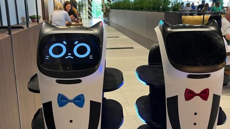 c7735175-a2c1-4c90-acde-226fc6d3c1a4