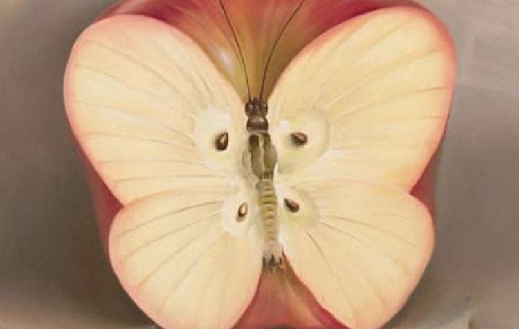 1c8a65d980d36af8a80cbe853791dcd361e242eb