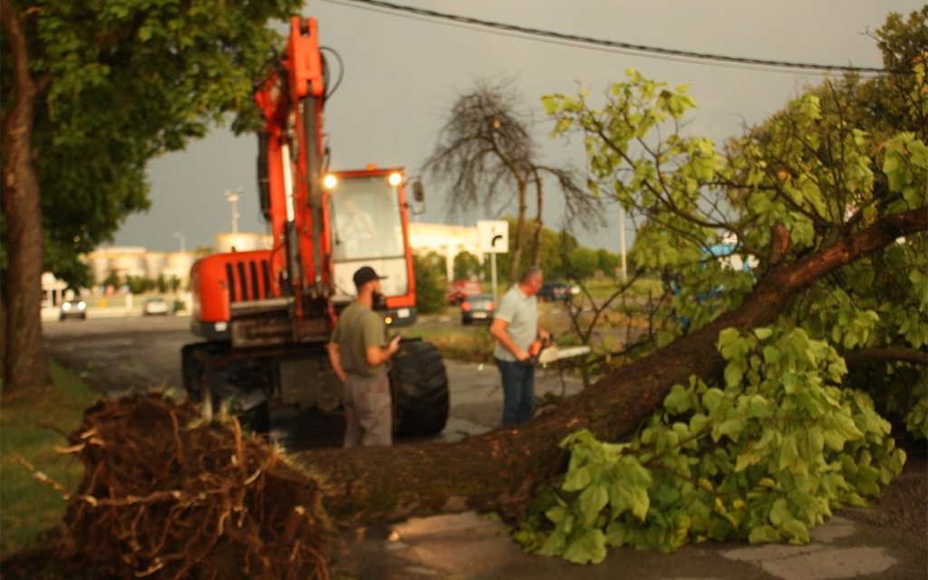 20230719220634_781174