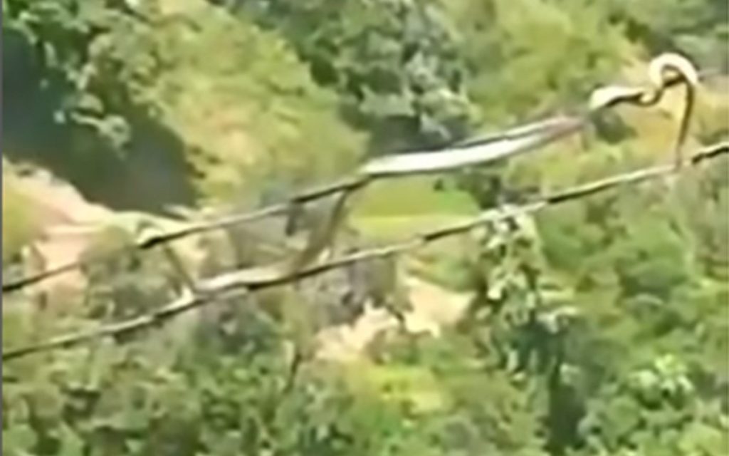 20230723104541_781580