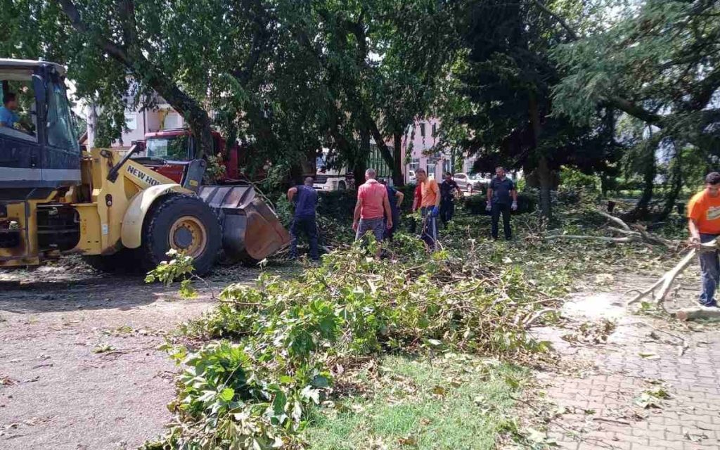 362922493_775909867868444_8232746765681353435_n