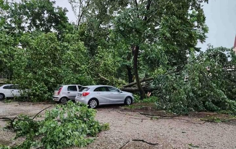 IMG_20230719_191703_443