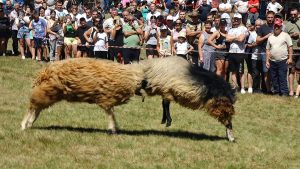 369805421_611241261204251_446247731074973111_n