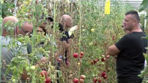 Obuka-za-proizvodjace-povrca-Novosti0004162023-08-16-16-28-45-768x432