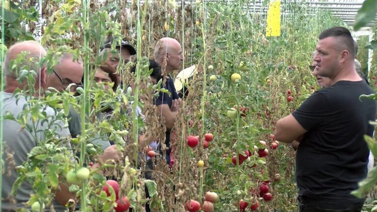 Obuka-za-proizvodjace-povrca-Novosti0004162023-08-16-16-28-45-768x432