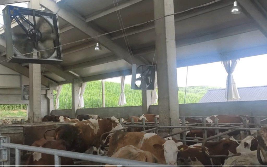 20230912110238_788719