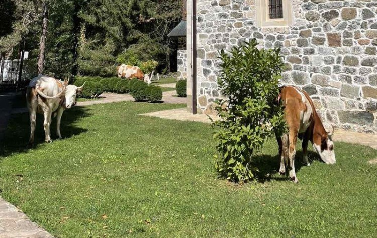 20230912112728113118