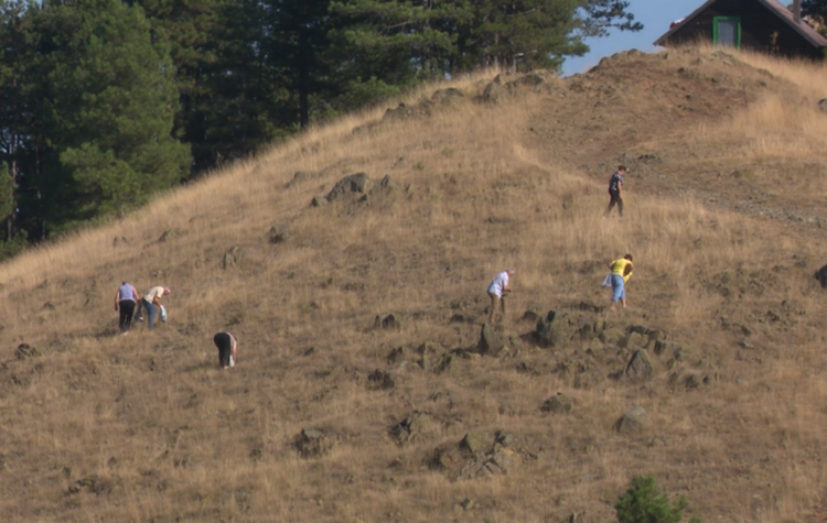 OZREN-TRAVA-IVA-768x432