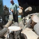 Bagrem, bukva, grab ili hrast, koje drvo najbolje grije kuću?