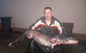 viber_slika_2023-09-23_21-26-16-956