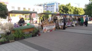 vlcsnap-2023-09-29-12h35m01s929