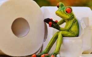 20231018141031_795087