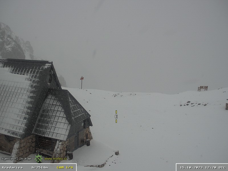 384277254_629979672683767_668032628462953534_n