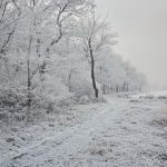 U najavi značajnije pogoršanje vremena, a evo gdje je snijeg već zapadao kao usred zime (FOTO)