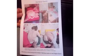 IMG-997ed136f77345d04a73877a634a9f4c-V