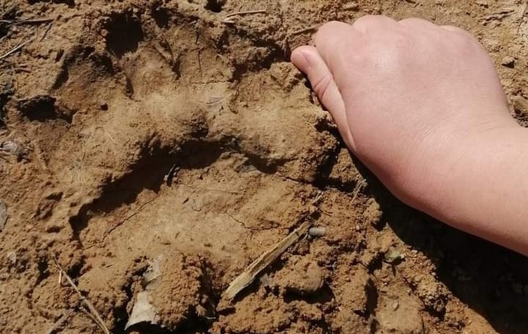 420213248_814090054079239_6921118945058970102_n