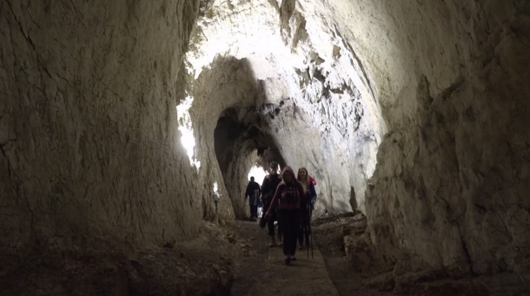 Screenshot_1-768x429