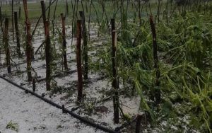 447488469_862681232543880_3611569277444674490_n