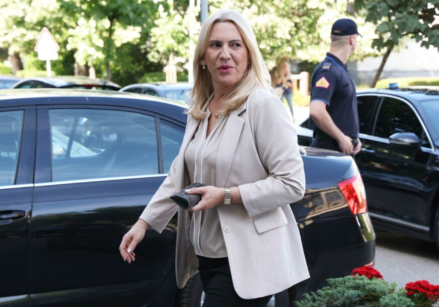 Lumii_20240605_092659356-872x610