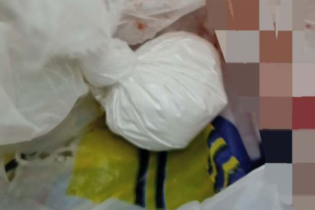 20240823110329_852086