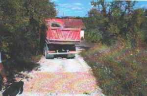 456657450_2332086763824541_2487484014968781066_n