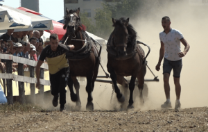 DERVENTA-NASLOVNA-768x432