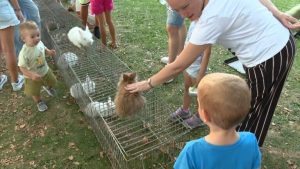 Doboj-Izlozba-sitnih-zivotinja-za-novosti.mp4_snapshot_02.15.600-768x432