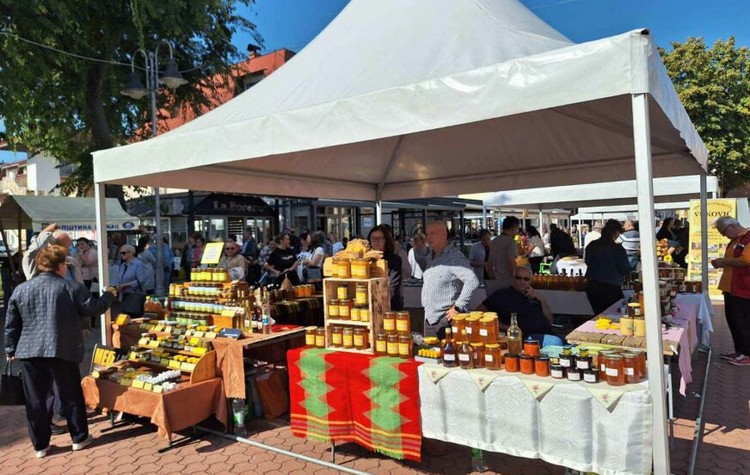 Шамац - манифестација