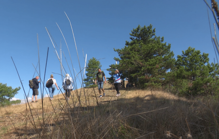 Screenshot_6-1-768x426