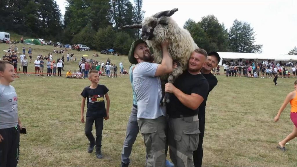 TESLIC-OVNOVIJADA-2-9.mp4_snapshot_01.00.920-1536x864