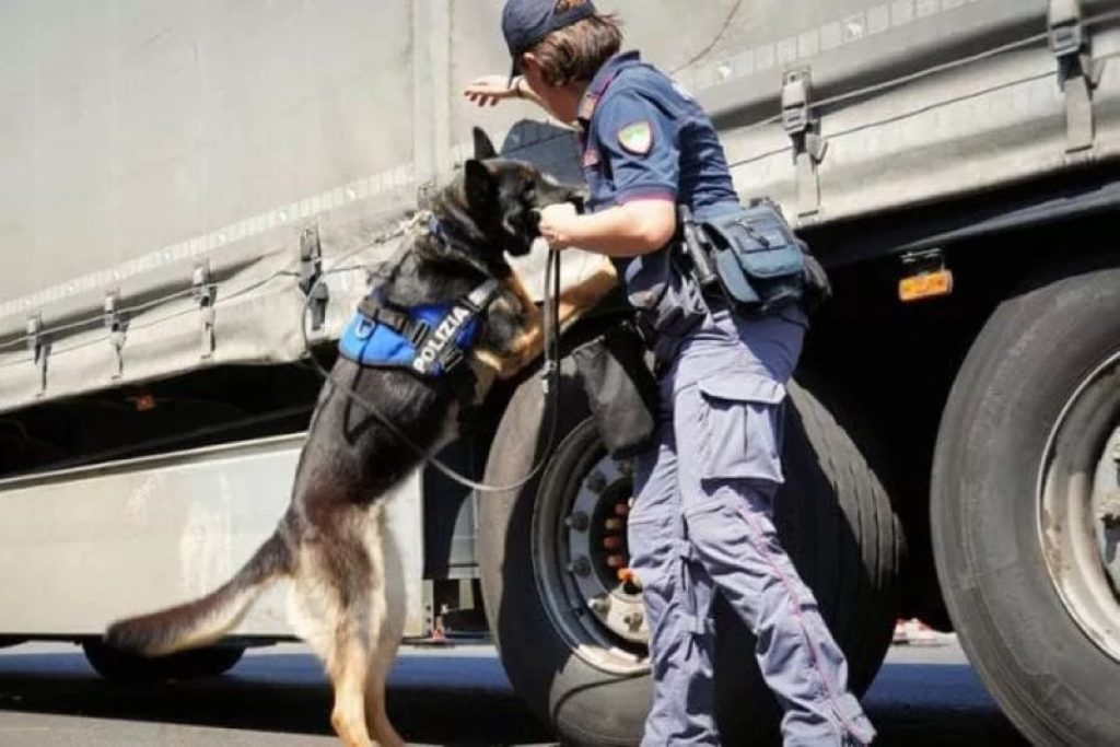 20241022210256_864485