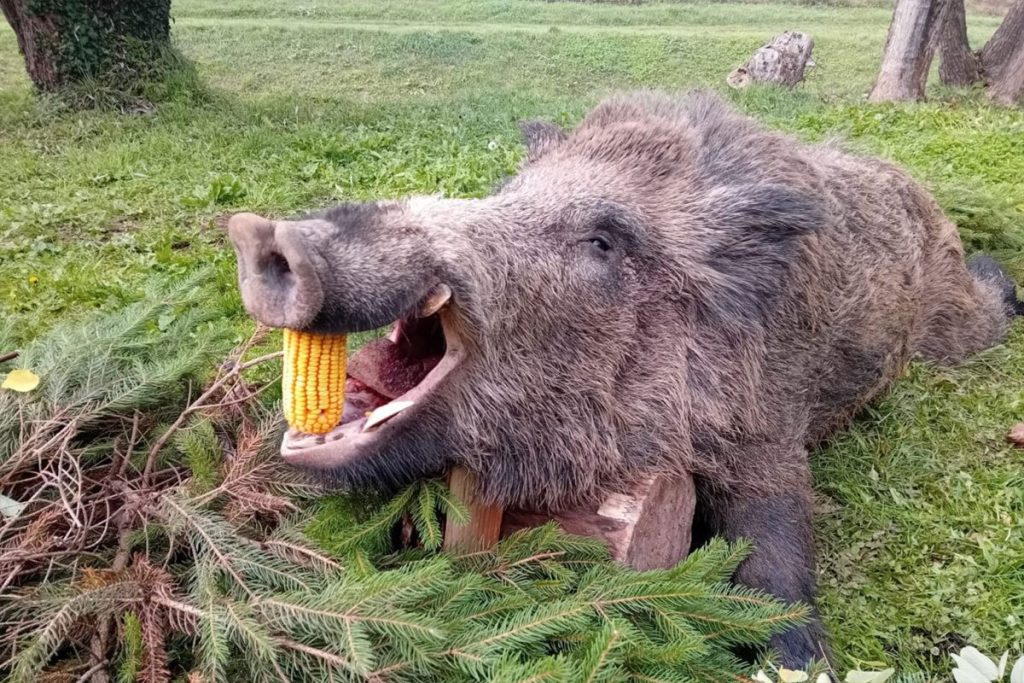 20241118125303_870134