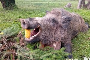 20241118125303_870134