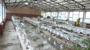 00065.MTS_snapshot_00.07.544-768x432