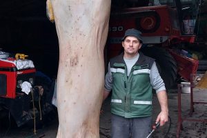 20241202103733_872795