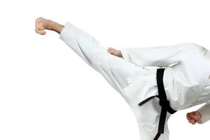 karate-black-belt-re