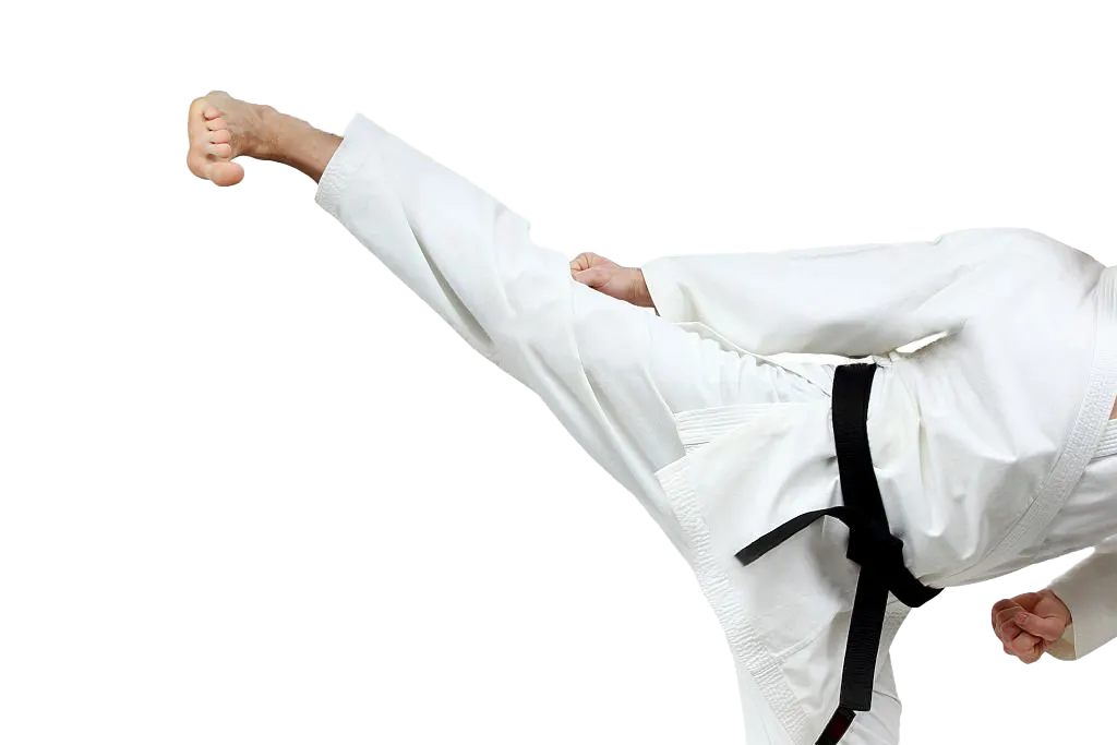karate-black-belt-re