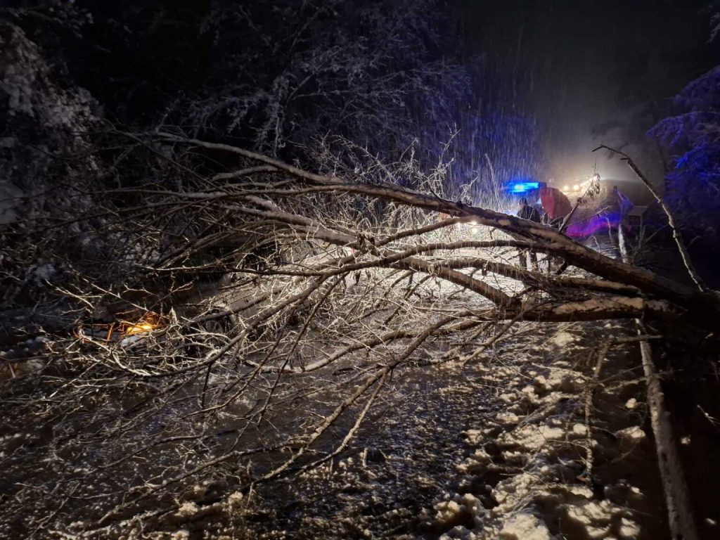 ТВСЈ-1-1536x1152