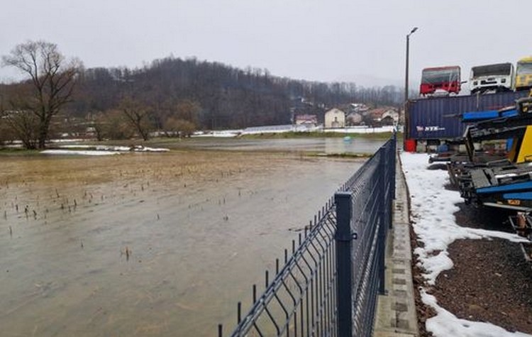 a61529fb-691e-4350-b305-ba8881cac5ad