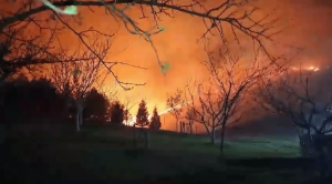 Screenshot_12-1-768x426