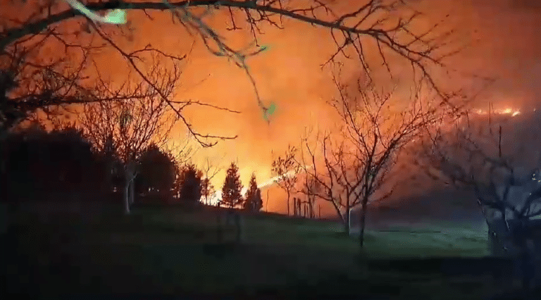 Screenshot_12-1-768x426