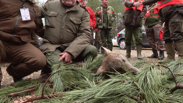 Screenshot_4-1-768x432